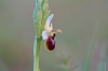 Nom du fichier : 24.03.16.3.jpg
Poids du fichier : 93Ko
Dimensions : 800x534
Ajouté le : 25 Mar 2016 24.03.16.3.jpg