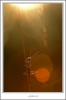 9O6H9419_web.jpg