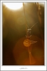 9O6H9424_web.jpg