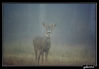 IMG_0162ver2.jpg