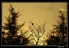 IMG_1339-2.jpg