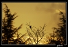 IMG_1340-1~0.jpg