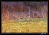 IMG_1654web.jpg
