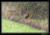 IMG_2815web.jpg