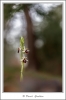_59I1066-web.jpg