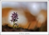 _59I1287-web~0.jpg