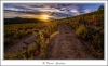 _59I3525-web.jpg