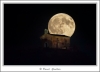 _59I3539-web.jpg
