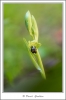 _59I3546-web.jpg