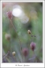 _D2O0270-web.jpg