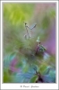 _D2O0310-web.jpg