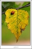 _MG_2695_web.jpg