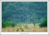 _MG_4339_web.jpg