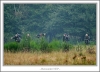 _MG_4343_web.jpg