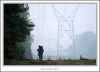 _MG_4350_web.jpg