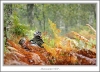 _MG_4359_web.jpg