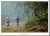 _MG_4363_web.jpg