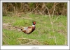 _MG_6802_web.jpg
