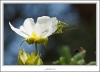 _O6H0911-web.jpg