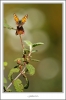 _O6H0964-web.jpg