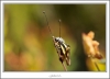 _O6H1107-web.jpg
