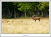 _O6H1510_web.jpg