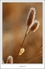 _O6H2911-web.jpg