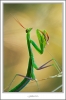 _O6H5471-web.jpg