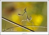 _O6H6022-web.jpg
