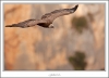 _O6H6245-web.jpg