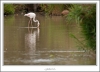 _O6H9902-web.jpg